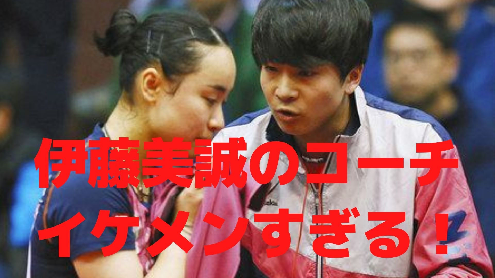 伊藤美誠のコーチ松崎太佑がイケメン 年収や結婚についても調査 リンの日記